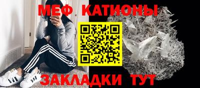шишки Донской