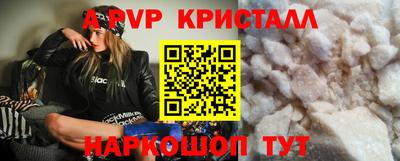 шишки Донской