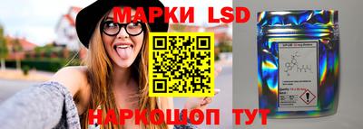 шишки Донской