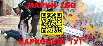 шишки Донской