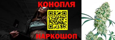 шишки Донской