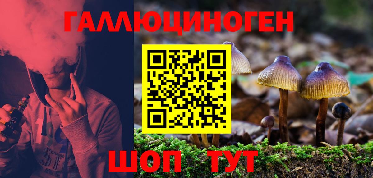 Галлюциногенные грибы прущие грибы Кунгур