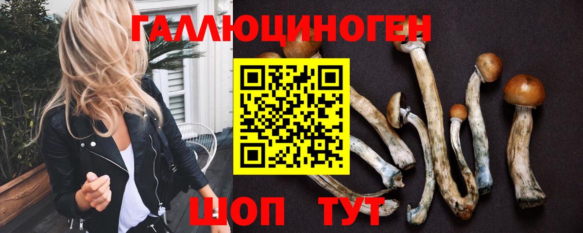 Галлюциногенные грибы Psilocybe  Вход с VPN  Кунгур 